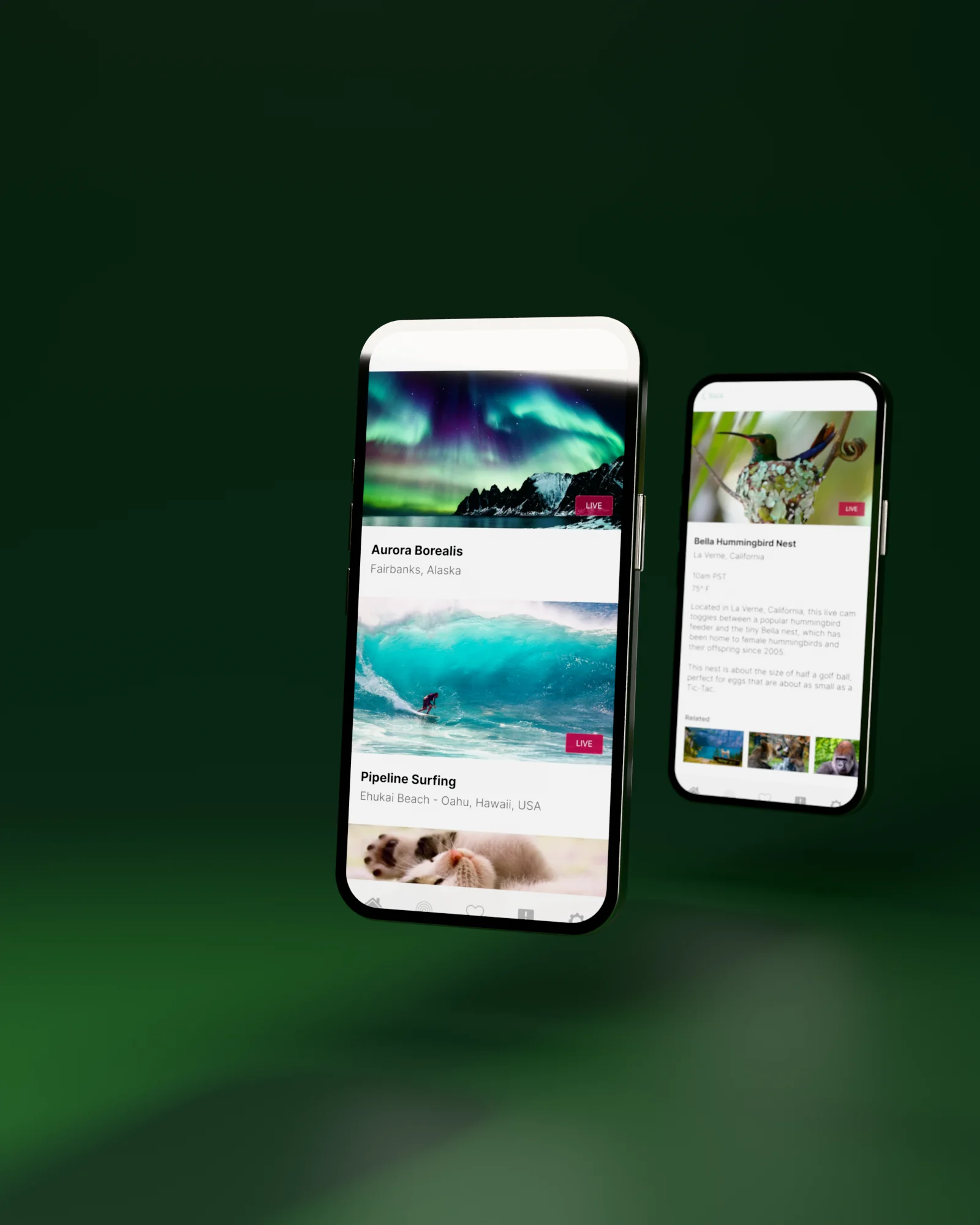 Webcam dal vivo su iPhone