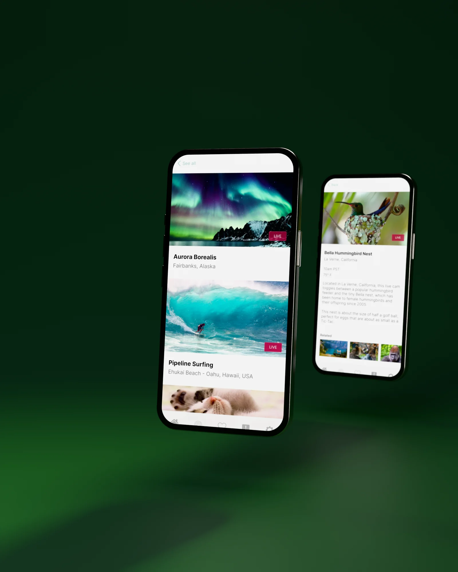 Live cams on iPhone