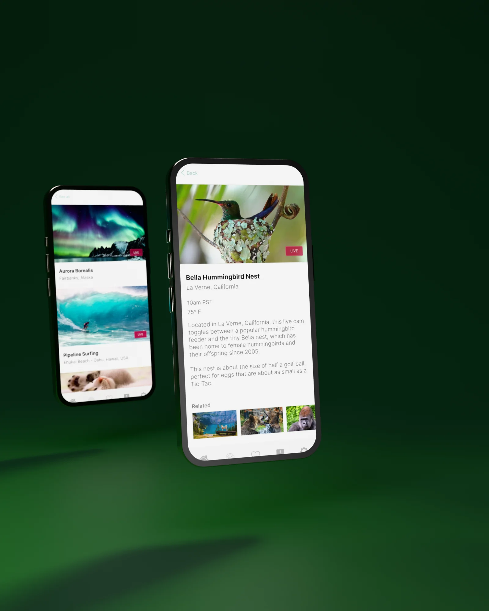 Live cams on iPhone