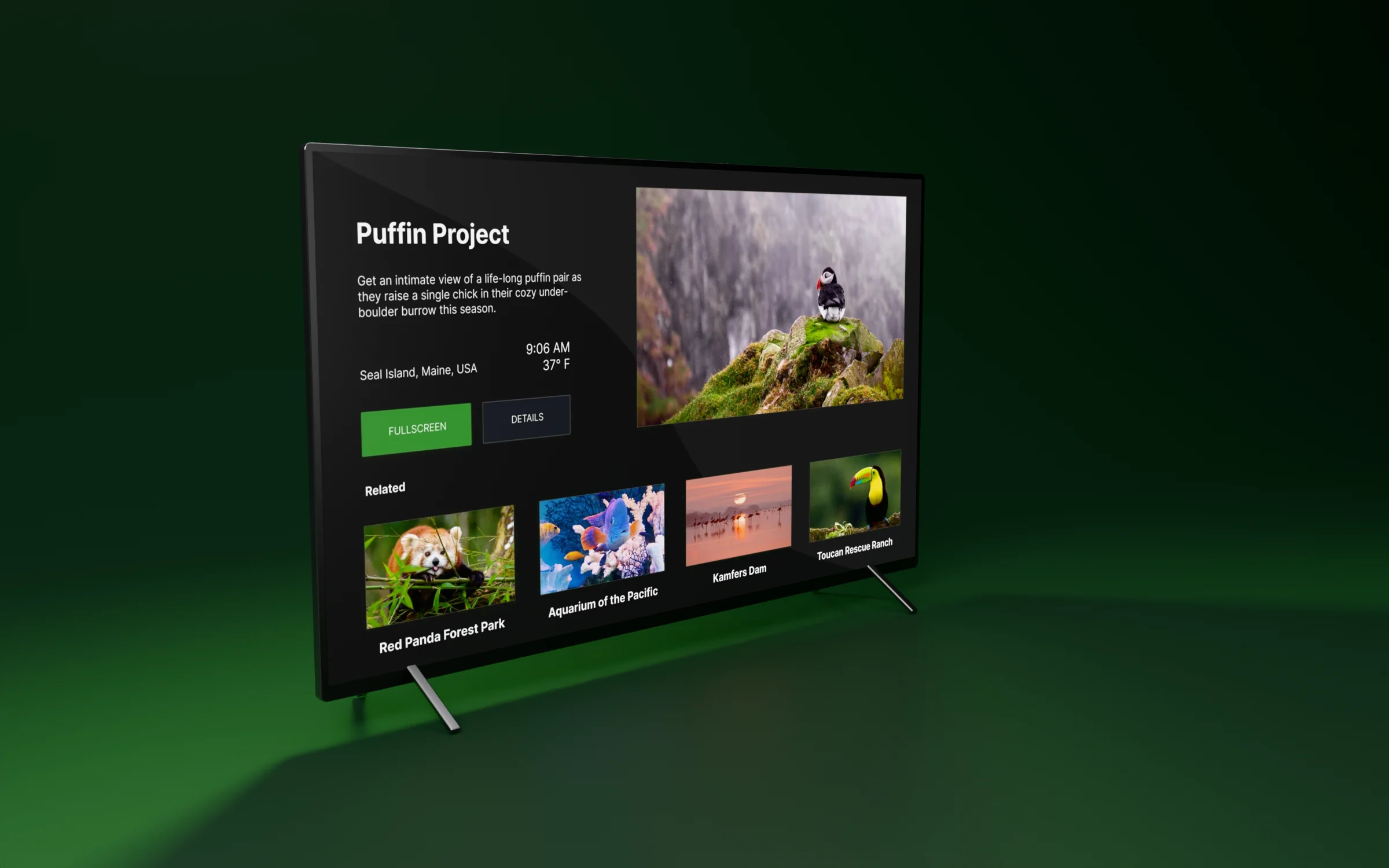 Pearls of the Planet: live cams on the big screen