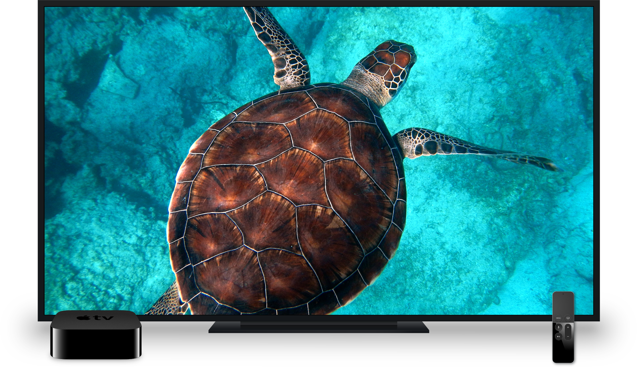 Pearls of the Planet screenshot.